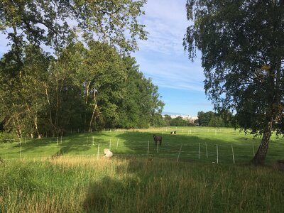 Park přímo vedle mého ubytování
