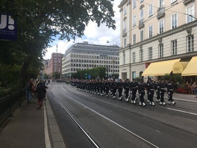 Švédská armáda v pochodu

