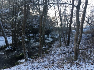 Přírodní rezervace Alby - Nyfors
