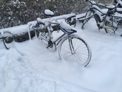 Kolo zůstalo během sněhové vánice venku
