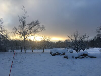 Zimní ráno a cesta do školy.
